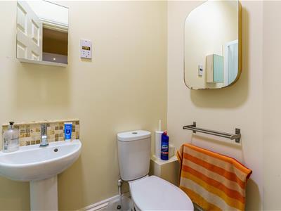 Picture 7